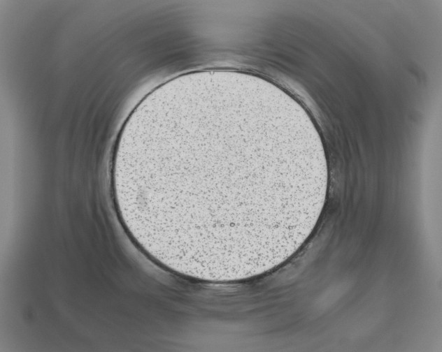 X0000112511483200909280945