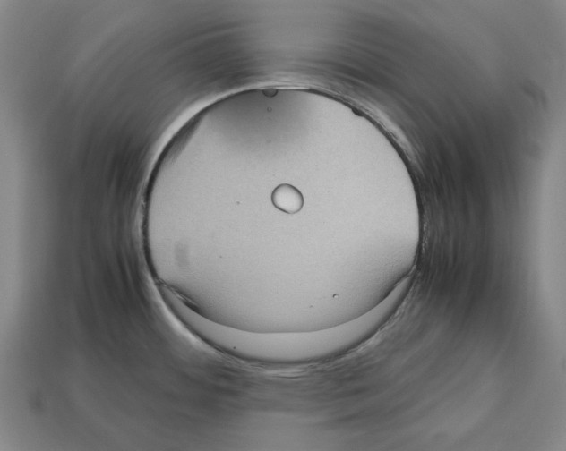 X0000112511484200909280945