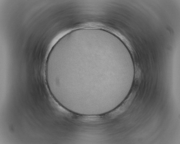 X0000112511486200909280945