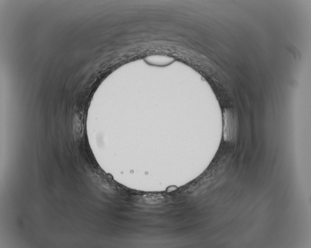 X0000112511491200909280944