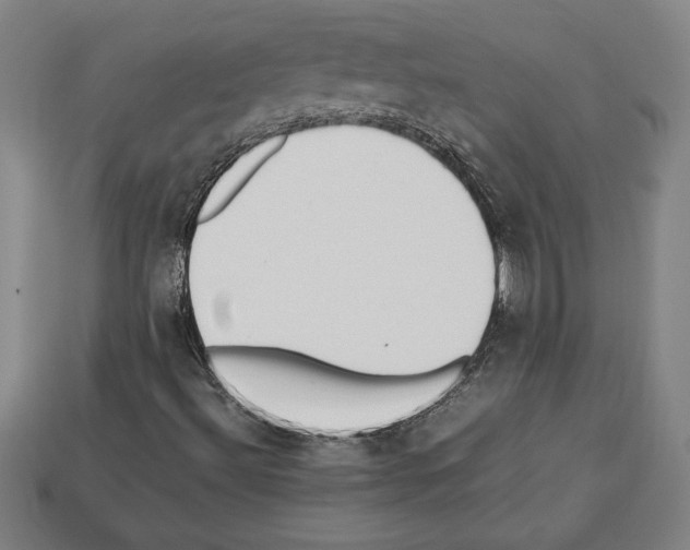 X0000112511492200909280944