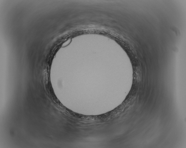 X0000112511493200909280944