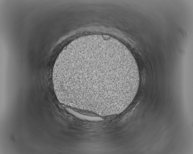 X0000112511494200909280944