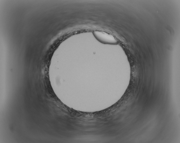 X0000112511495200909280944