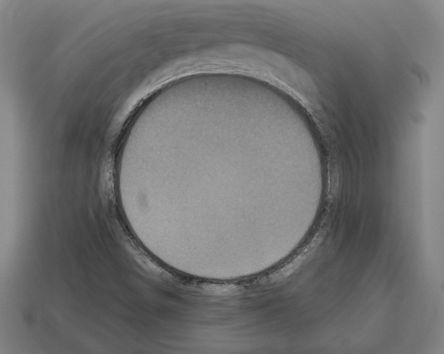 X0000112511498200909280944