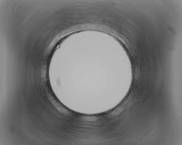 X0000112511499200909280944