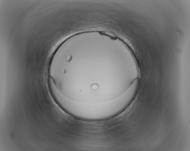 X0000112511500200909280944