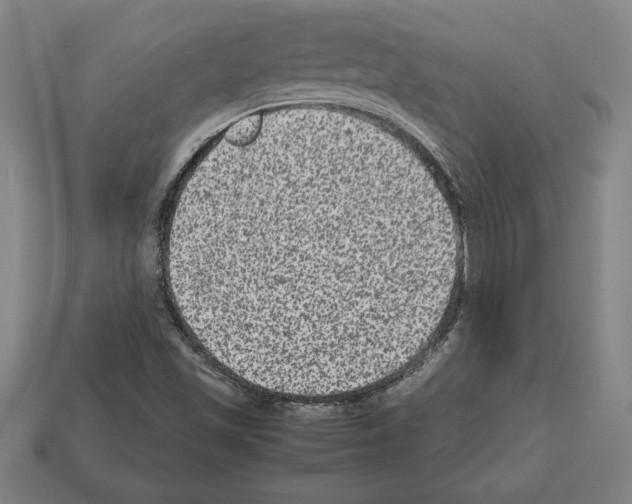 X0000112511501200909280944