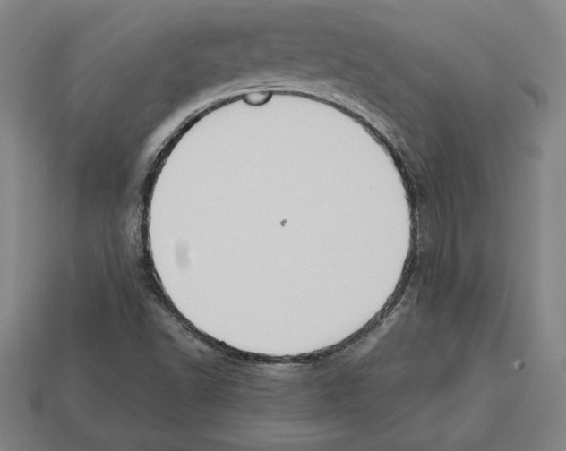 X0000112511502200909280944