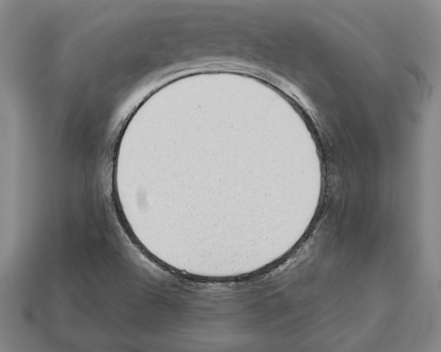 X0000112511504200909280944