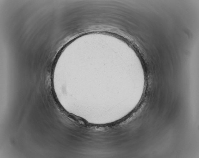 X0000112511505200909280944