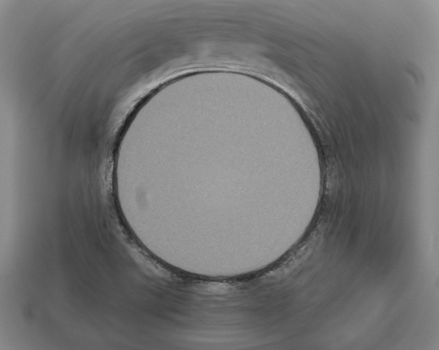 X0000112511507200909280944