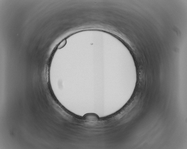 X0000112511510200909280944