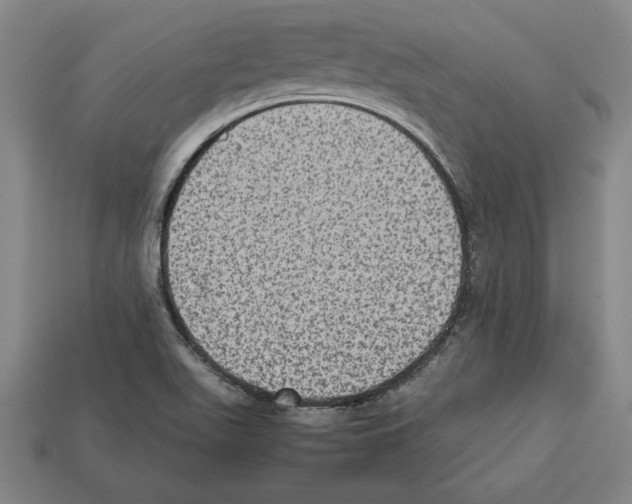 X0000112511511200909280944