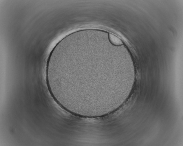 X0000112511512200909280944