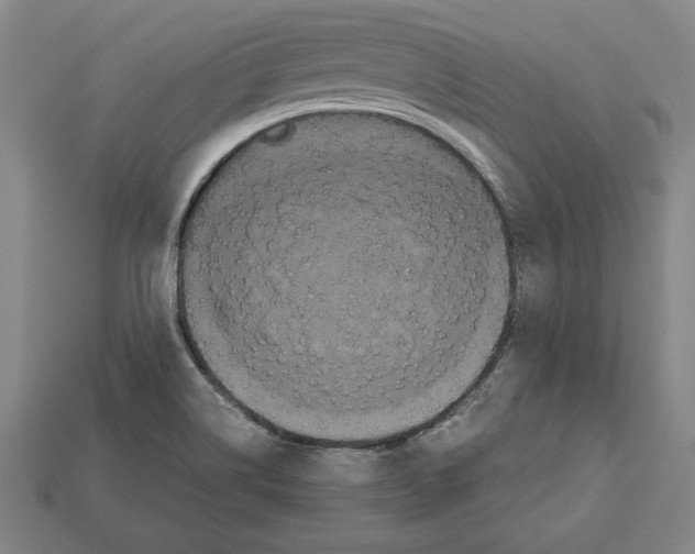 X0000112511514200909280944