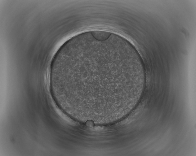 X0000112511515200909280944