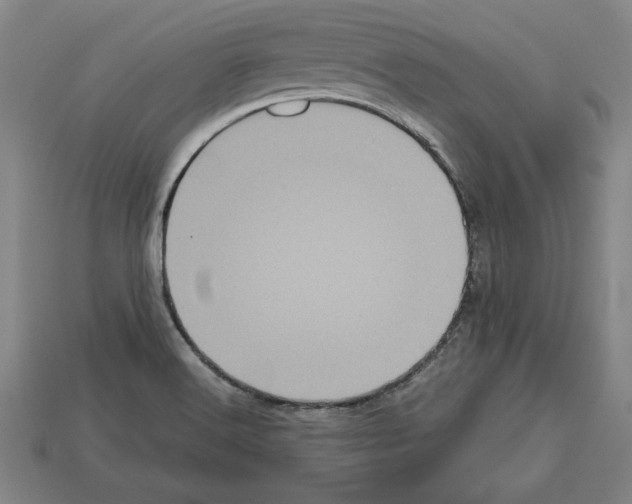 X0000112511516200909280944