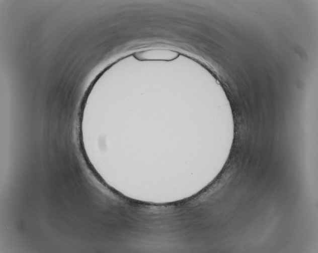 X0000112511518200909280944