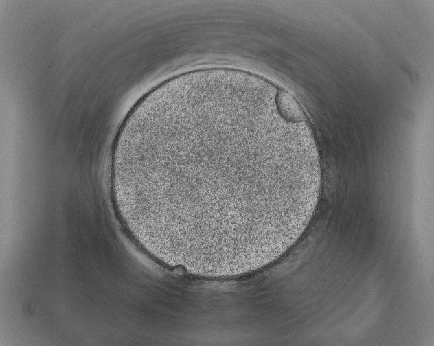 X0000112511519200909280944