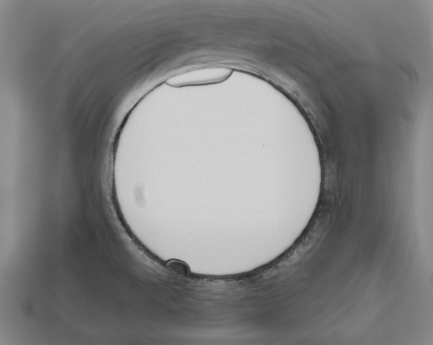 X0000112511520200909280944