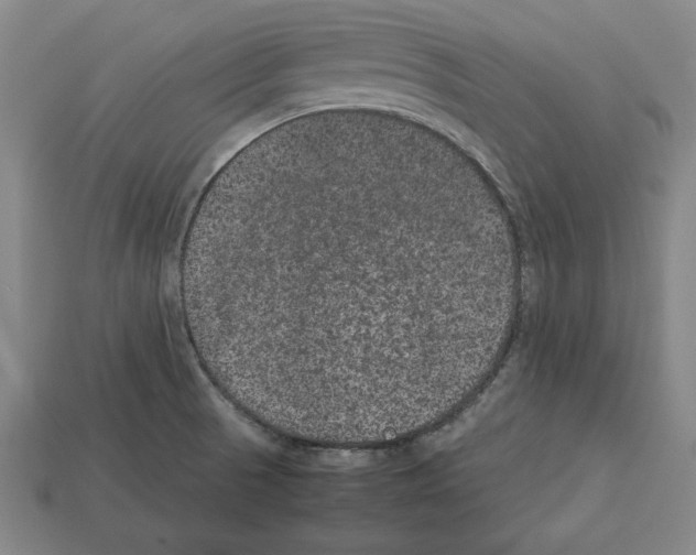 X0000112511521200909280944