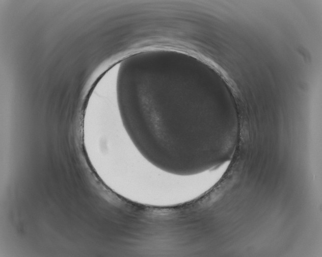 X0000112511522200909280944