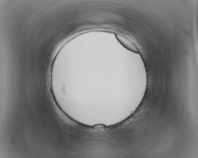 X0000112511524200909280944