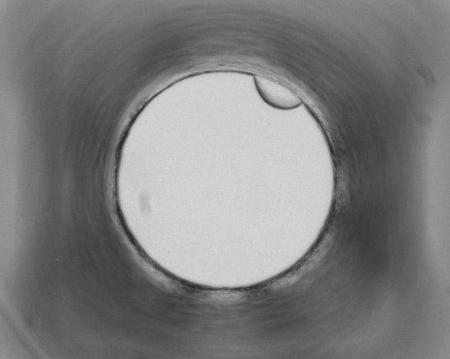 X0000112511525200909280944