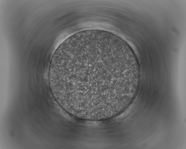 X0000112511529200909280944