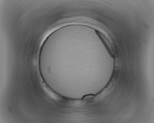 X0000112511530200909280944