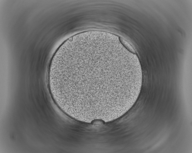 X0000112511531200909280944