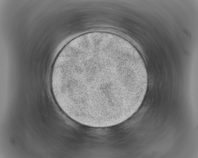 X0000112511533200909280944