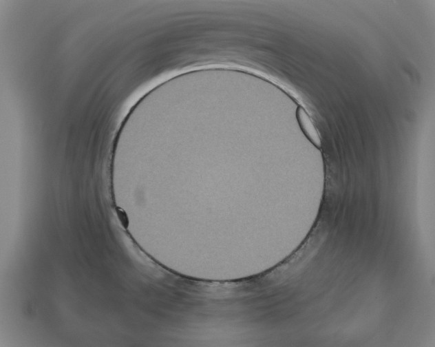 X0000112511534200909280944