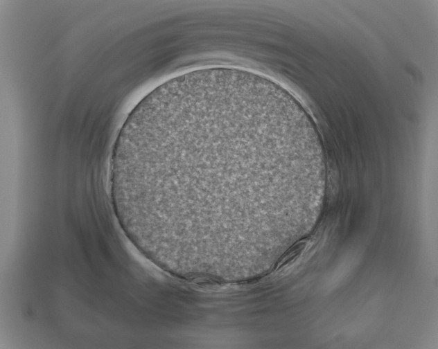 X0000112511535200909280944