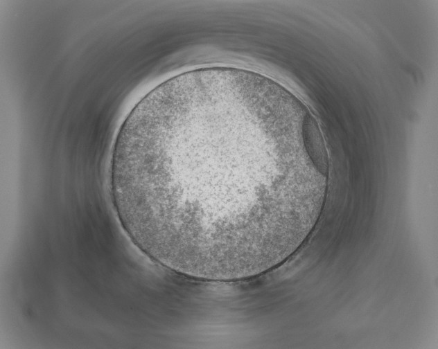 X0000112511536200909280944