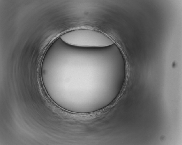 X0000112520001200908171123