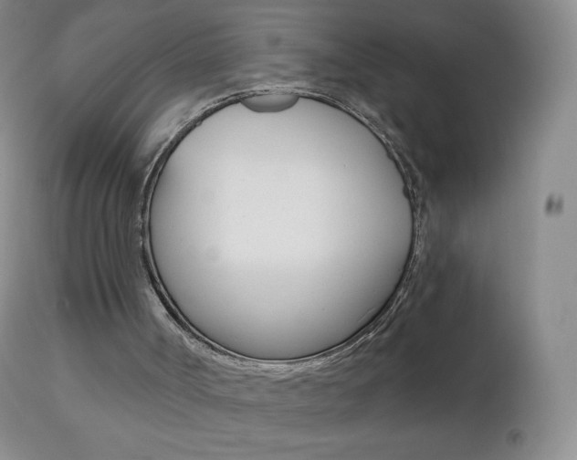 X0000112520002200908171123