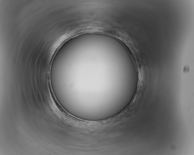 X0000112520003200908171123