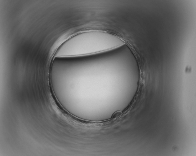 X0000112520004200908171123
