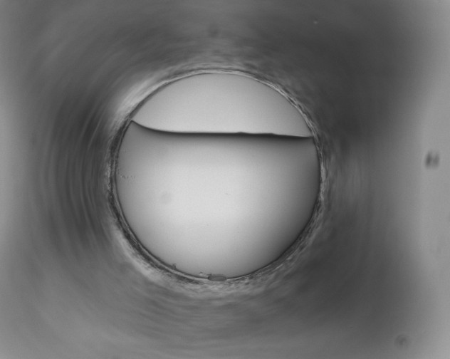 X0000112520005200908171123