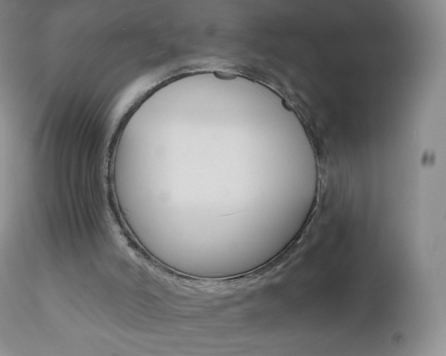 X0000112520006200908171123