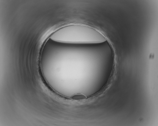 X0000112520007200908171123