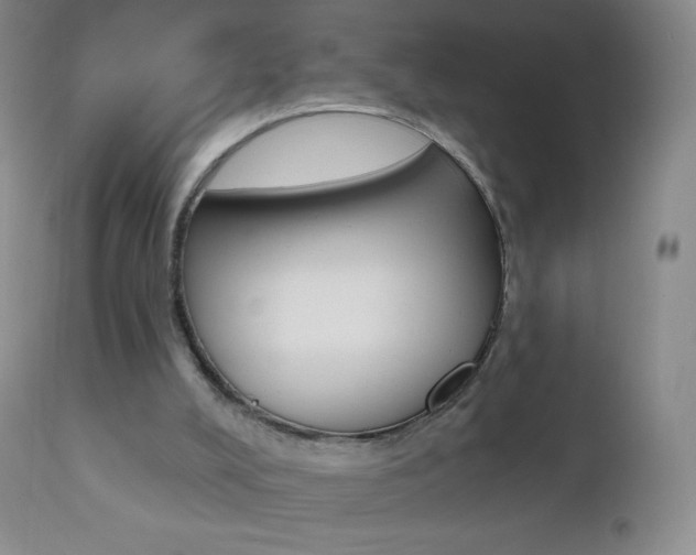 X0000112520008200908171123