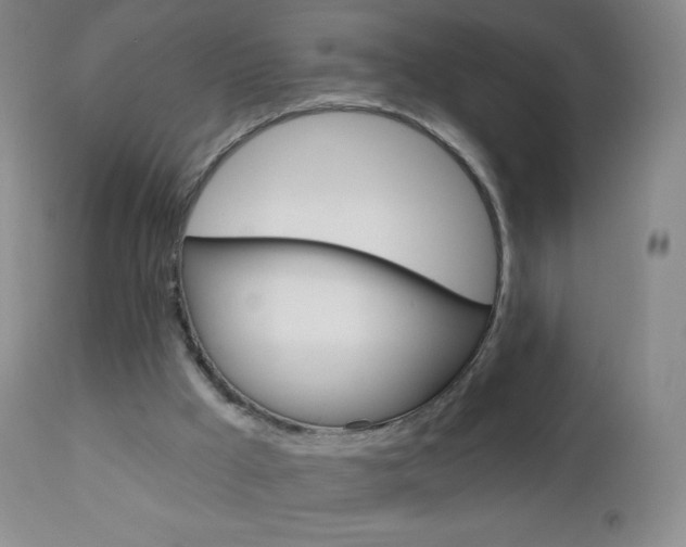 X0000112520009200908171123