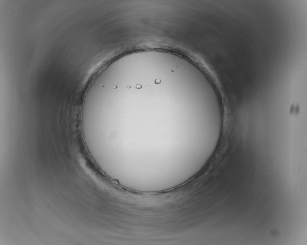 X0000112520010200908171123