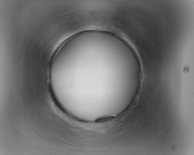 X0000112520011200908171123