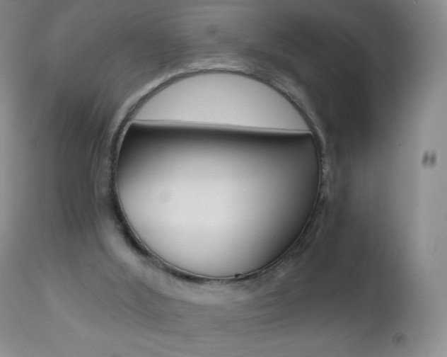X0000112520012200908171123