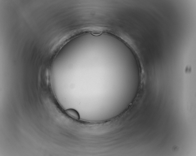 X0000112520013200908171123