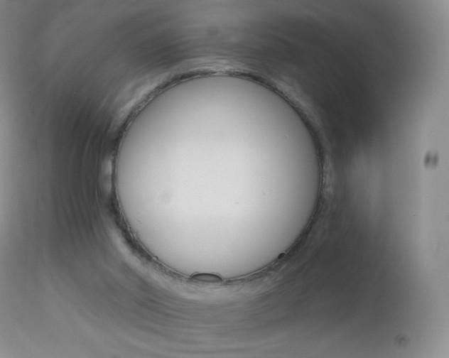 X0000112520014200908171123